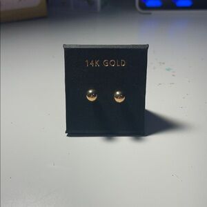 14K Gold Stud Earrings